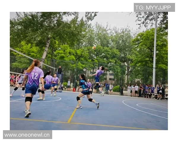 排球盛宴:深入解析北京排球队的训练与比赛节奏 排球盛宴:深入解析北京排球队的训练与比赛节奏